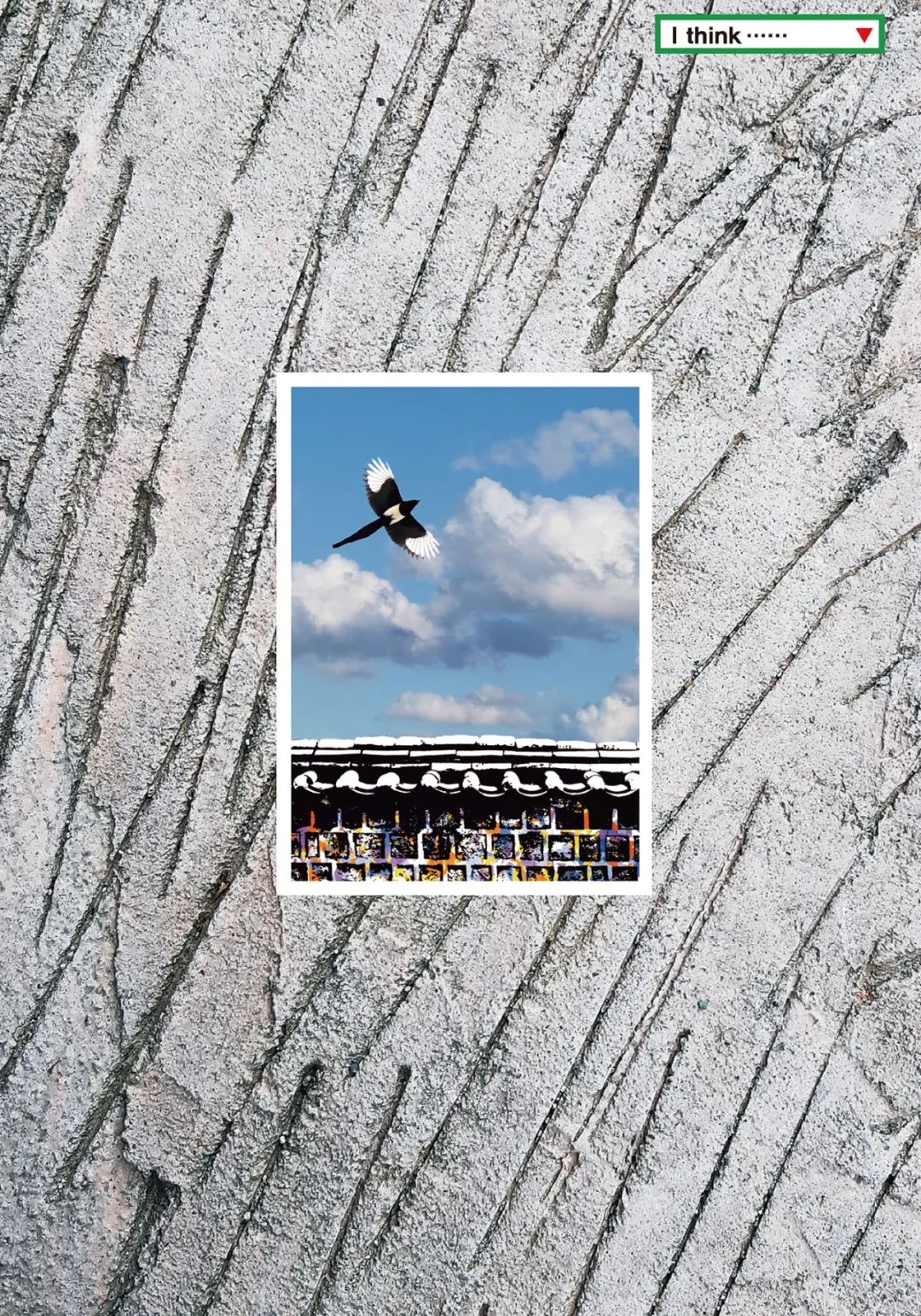 1646022140129948.jpg 85.jpg